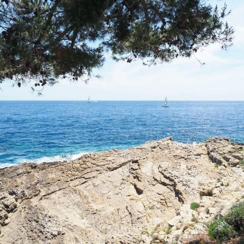 Le Comte de Nice - Cannes